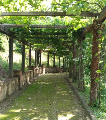 Degustazione di vini Uccelliera e birre a Torre a Cenaia