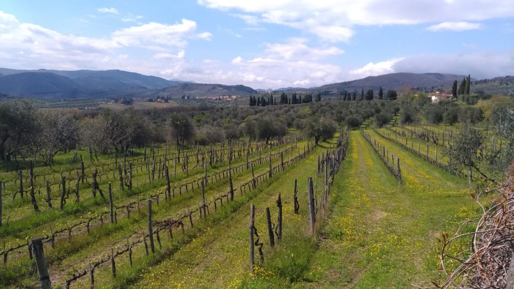 Fattoria di Lavacchio ristorante Mulino a vento vigneti