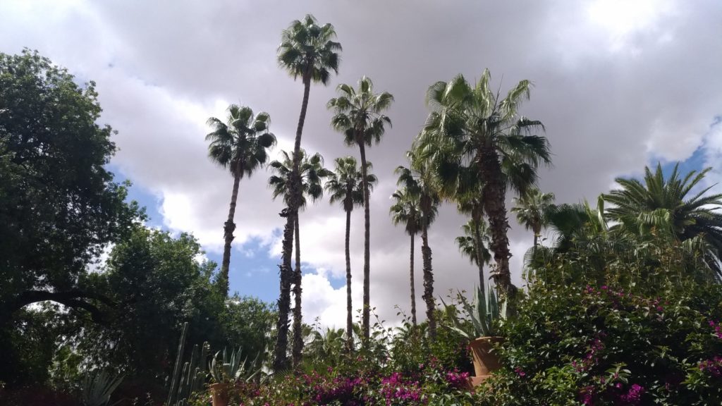 Marrakesh Marocco i giardini Majorelle