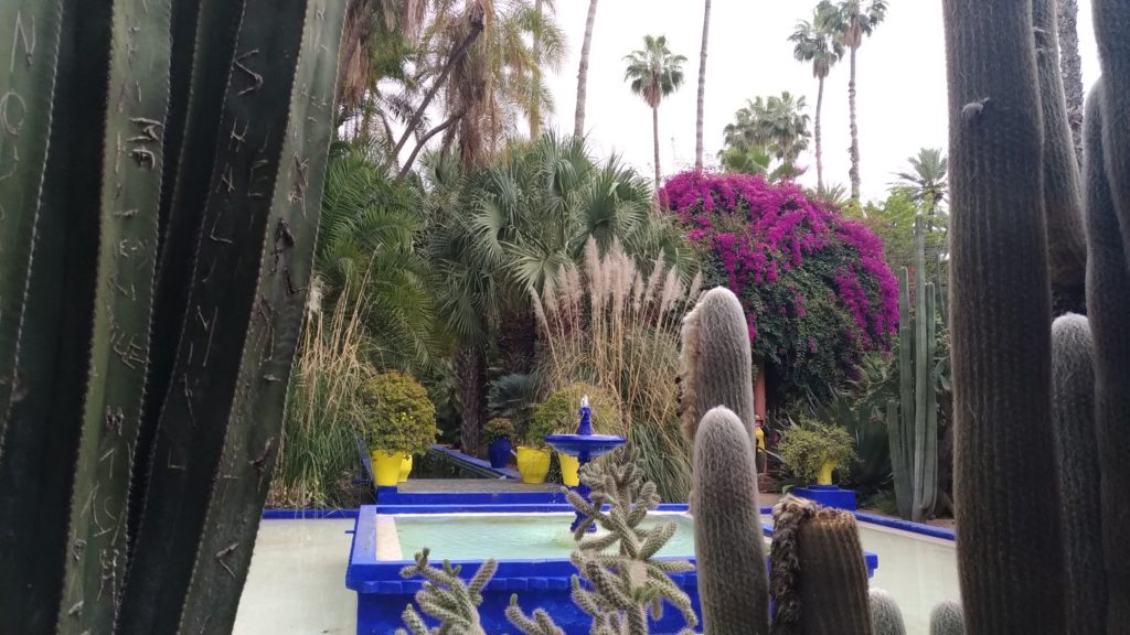 Marrakesh Marocco giardini Majorelle