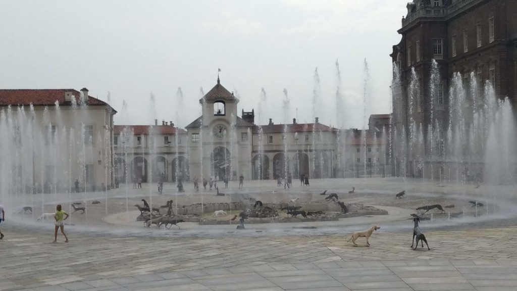 Torino Reggia di Venaria