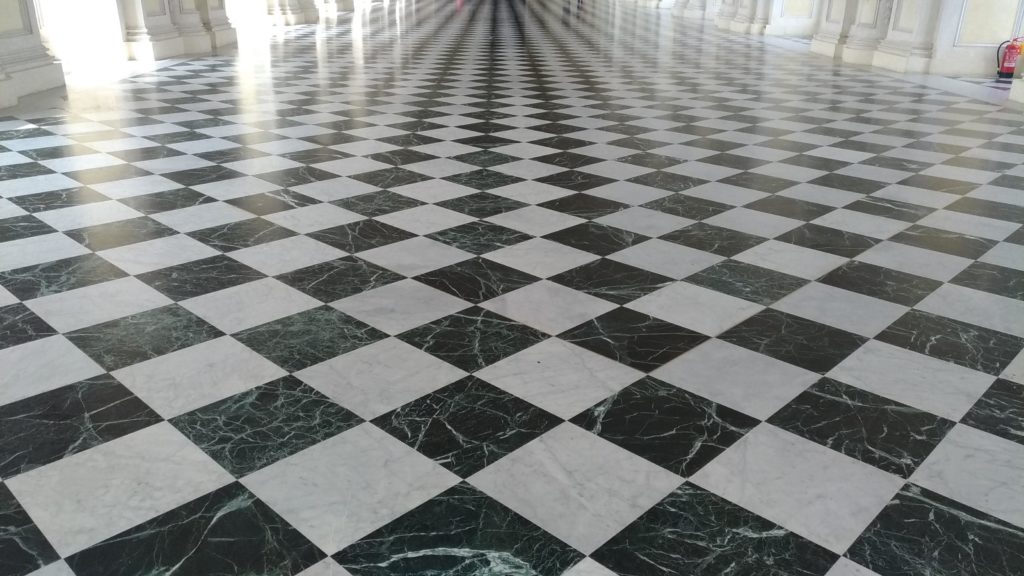 Torino Reggia di Venaria
