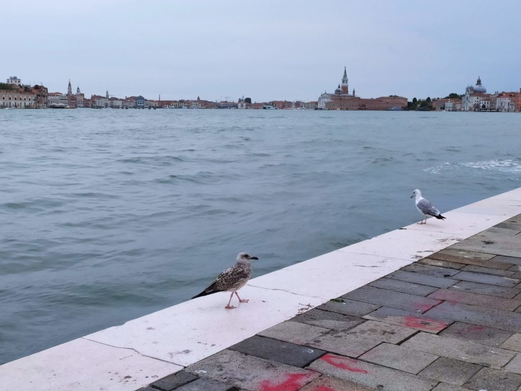 Giudecca Venezia