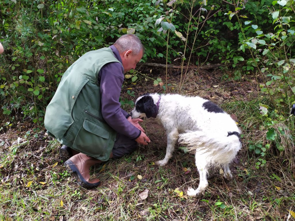 tartufo San Miniato bosco