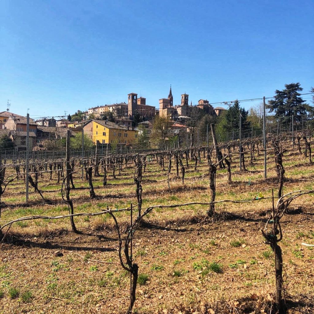 Castelvetro di Modena